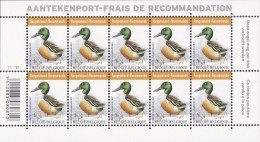 4537** - PLANCHE/PLAAT I - Canard Souchet / Slobeend / Löffelente / Shoveler - BUZIN - RECOMMANDÉ / AANGETEKEND - 2011-2020