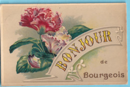 LA HULPE BOURGEOIS Bonjour De  ... !  1909  Obl Rixensart  Vers Interlaken  En Poste Restante  - Rare - La Hulpe