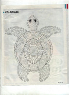 Page Diverto Coloriage  Theme Tortue - Animaux