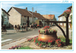 Agriculture Tracteur Vaches Sur La Route Jura CPM Voiture Auto - Tracteurs