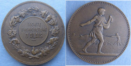 Medaille En Bronze Société D’Agriculture D’Alais / Ales - Gard, Par Lagrange - Professionals/Firms