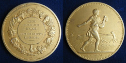 Médaille En Argent Vermeil. Société Agriculture Alais - Gard . Union Syndicats Des Cévennes - Professionali / Di Società
