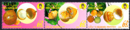 Brunei 1990 Local Fruit (4th Series) (folded) Unmounted Mint. - Brunei (...-1984)