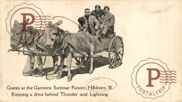 USA. GUESTS AT THE GANNONS SUMMER RESORT, HILLSBORO, ILL. ENJOYING A DRIVE BEHIND THUNDER AND LIGHTNING - Autres & Non Classés