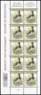 4367** - Vanneau Huppé/Kievit/Kiebitz/Lapwing/Vanellus Vanellus - PLANCHE II / PLAAT II - BUZIN - AR - Gomme Jaunâtre - 2011-2020