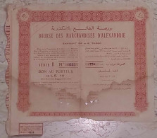 EGYPT - Bourse Des Marchandises D'Alexandrie(10 Actions) (Egypte) (Egitto) (Ägypten) (Egipto) (Egypten) Africa - Africa