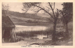 FRANCE - 58 - LORMES - Un Coin De L'etang Du Goulot - Edition Joyeux - Carte Postale Ancienne - Lormes