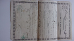 1855 Certificat De Bonne Conduite  2 EME BATAILLON DE CHASSEURS A PIEDS VEZIAN ENTREPIERRES SISTERON BASSES ALPES - Dokumente