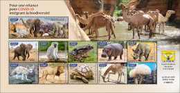 CHAD TCHAD 2023 SHEET 11V - MONKEYS LION ELEPHANT FROGS HIPPOPOTAMUS RHINOCEROS FOX MUSHROOMS TURTLE GIRAFFE - MNH - Tchad (1960-...)