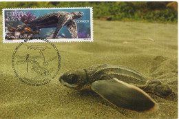 SPAIN. MAXICARD FIRST DAY. TURTLE. 2015 - Tarjetas Máxima