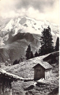 FRANCE - 74 - ST GERVAIS LES BAINS - Les Dômes De Miage - Carte Postale Ancienne - Saint-Gervais-les-Bains