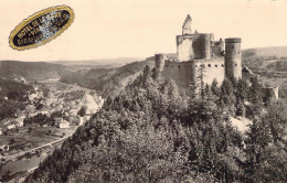 LUXEMBOURG - VIANDEN - Le Château - Carte Postale Ancienne - Vianden