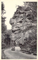 LUXEMBOURG - Predigstuhl - Route De Berdorf Vogelsmühle - Carte Postale Ancienne - Sonstige & Ohne Zuordnung