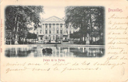 BELGIQUE - BRUXELLES - Palais De La Nation - Carte Postale Ancienne - Altri & Non Classificati