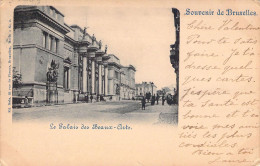 BELGIQUE - BRUXELLES - Le Palais Des Beaux Arts - Carte Postale Ancienne - Otros & Sin Clasificación