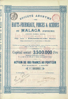 - Titre De 1899 - Société Anonyme Des Hauts-Fourneaux, Forges & Aciéries De Malaga - Ancienne Ferrera Heredia - Chemin De Fer & Tramway