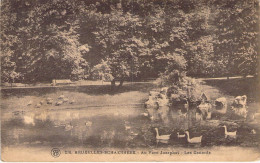 BELGIQUE - BRUXELLES - Au Parc Josaphat - Les Canards - Carte Postale Ancienne - Otros & Sin Clasificación