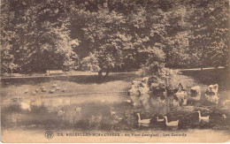 BELGIQUE - BRUXELLES - Au Parc Josaphat - Les Canards - Carte Postale Ancienne - Altri & Non Classificati