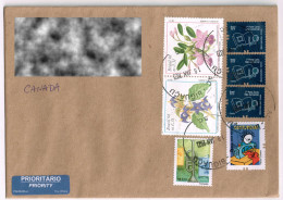 Brazil 1998  Flowers Plants Flora 2002 2005 Musical Instruments Trumpet Seamstress 2019 Philately Cover To Canada - Usados