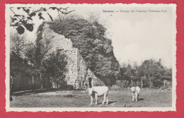 Sautour - Ruines De L'ancien Château-Fort ... Veaux  ( Voir Verso ) - Philippeville