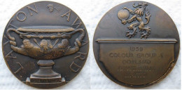 Médaille En Bronze Layton Award.  Prix Décerné  Colour Group A Dorland Advertising Ltd 1959 - Profesionales/De Sociedad