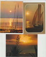 3 Cartes  Coucher De Soleil -( G.299) - Collections & Lots