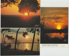 3 Cartes  Coucher De Soleil -( G.301) - Collections & Lots