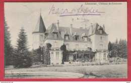 Roumont ( Ochamps ) - Château - 1913  ( Voir Verso ) - Libin