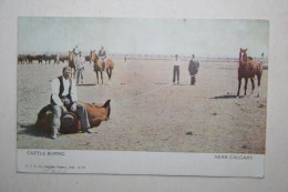 Canada - Cattle Roping  Near Calgary - Andere & Zonder Classificatie