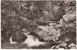 Horngraben - Wasserfall An Der Kleinen Kyll Bei Manderscheid / Eifel- (Deutschland) - 1967 - Manderscheid