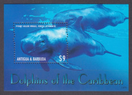 2013 Antigua And Barbuda 5103/B712 Marine Fauna - Dolphins 7,00 € - Dauphins