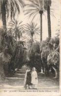 ALGERIE - Alger - Femmes Arabes Dans Le Jardin D'Essai - LL -  Animé - Carte Postale Ancienne - Algiers