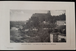 81 - LAVAUR (Tarn)  - Le Jardin De L' Evêché Et La Cathédrale - Cliché Goutier - Lavaur