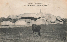 Trégastel * Le Sauveur Du Monde * Pierres Monolithe Mégalithe - Trégastel