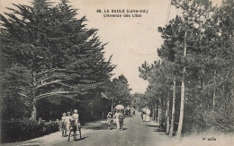 La Baule * L'avenue Des Lilas * Promenade En âne - La Baule-Escoublac