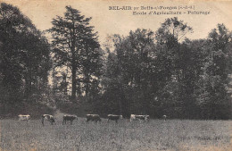 Briis Sous Forges           91         Bel-Air.  Ecole D'Agriculture  - Paturage -       (voir Scan) - Briis-sous-Forges