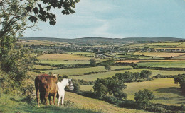 BEATIFUL IRELAND - Autres & Non Classés