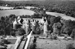 TREIGNY, LE CHATEAU DE RATILLY VUE AERIENNE  REF 9599 POU - Treigny