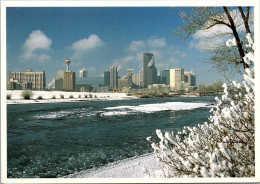 Canada Calgary Skyline In Winter - Calgary