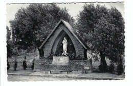 Borsbeek    Kapel V O L Vrouw Maria-Jaar 1954  Beeldh. : Proost - Borsbeek