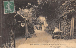 Brunoy            91          Forêt De Sénard .L'Ermitage . Allée Principale    (voir Scan) - Brunoy