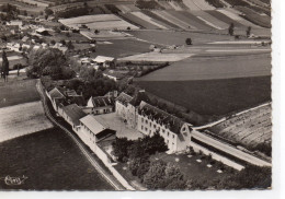 Saint-Bris-le-Vineux Belle Vue Aérienne Colonie De Vacances Montreuil - Saint Bris Le Vineux