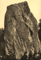 St Michel Chef Chef * Le Menhir De Pierre Attelée * Thème Dolmen Pierre Monolithe Mégalithe - Saint-Michel-Chef-Chef