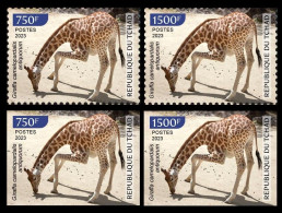 CHAD TCHAD 2023 - SET 2 X 2V - GIRAFE GIRAFES GIRAFFE GIRAFFES - COVID-19 CORONAVIRUS PANDEMIC CORONA RECOVERY - MNH - Girafes