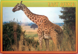 CPSM Kenya-Wildlife Of East Africa-Beau Timbre       L2311 - Kenya