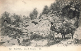 Menton * Dans La Montagne * Transport Bois Mort Ou Sapin , Dos D'âne * Mulet âne Travail Métier - Menton