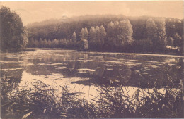 CP - Auderghem Oudergem - Etang De Rouge Cloitre - 1911 - Oudergem - Auderghem