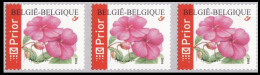 R109**(3347) X3 - Impatiens - Timbre Rouleau / Rolzegels - Autocollant / Zelfklevende - BUZIN - BELGIQUE / BELGIË - Coil Stamps