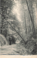 Belgique - Linkebeek - La Vallée Des Artistes - Lagaert - Animé - Oblitéré étoile - Carte Postale Ancienne - Linkebeek