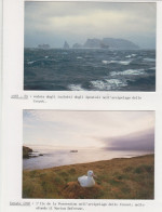 Antartide, Due Cartoline Non Viaggiate, Isolotto Degli Apostoli E L'Ile De L La Possession - Arcipegalo Delle Crozet - Missions